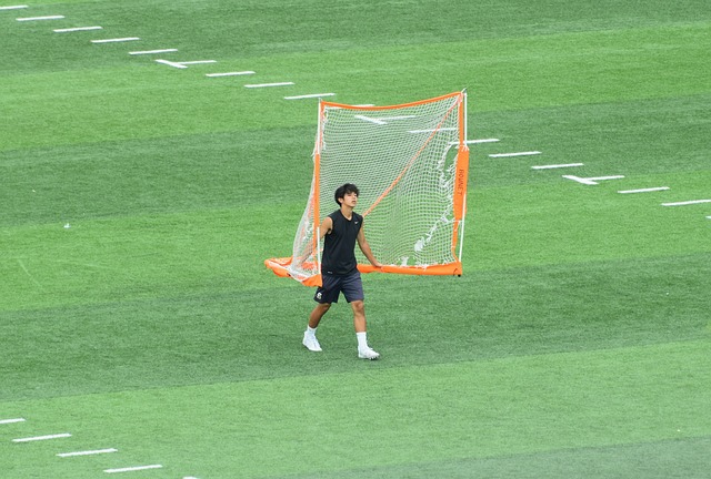马来西亚羽